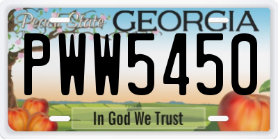 GA license plate PWW5450