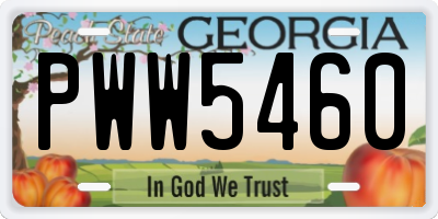 GA license plate PWW5460
