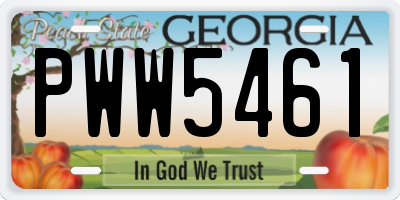 GA license plate PWW5461