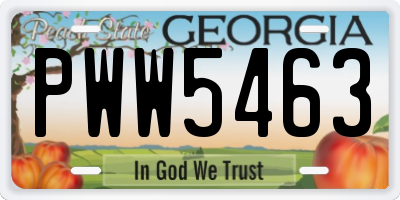 GA license plate PWW5463