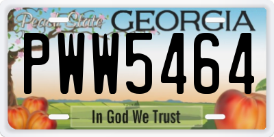 GA license plate PWW5464