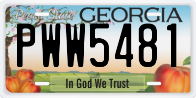 GA license plate PWW5481