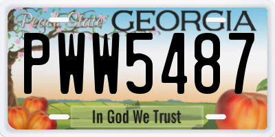 GA license plate PWW5487