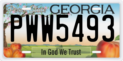 GA license plate PWW5493