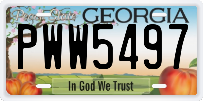 GA license plate PWW5497