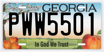 GA license plate PWW5501