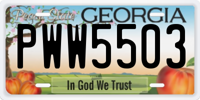 GA license plate PWW5503
