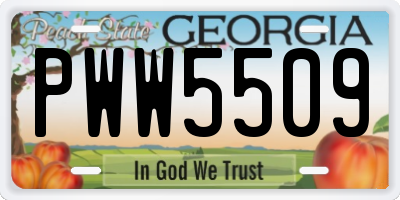 GA license plate PWW5509