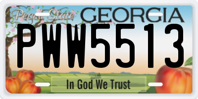 GA license plate PWW5513