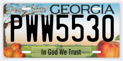 GA license plate PWW5530
