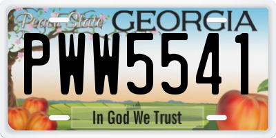 GA license plate PWW5541