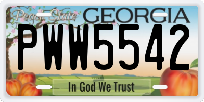 GA license plate PWW5542