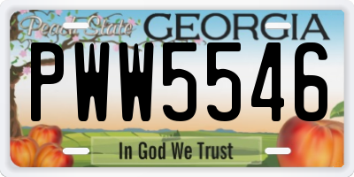 GA license plate PWW5546