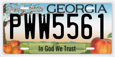 GA license plate PWW5561