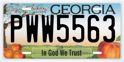 GA license plate PWW5563