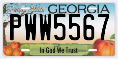GA license plate PWW5567