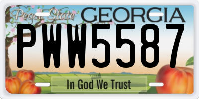GA license plate PWW5587