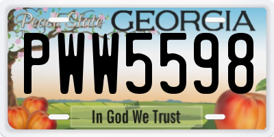 GA license plate PWW5598