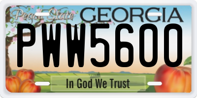 GA license plate PWW5600