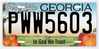 GA license plate PWW5603