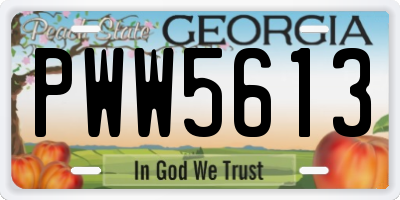 GA license plate PWW5613