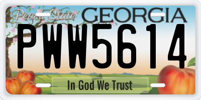 GA license plate PWW5614