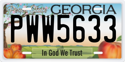 GA license plate PWW5633