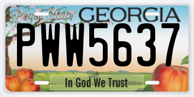 GA license plate PWW5637