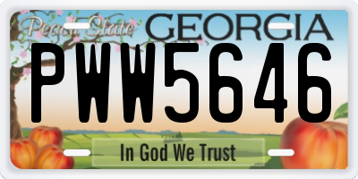 GA license plate PWW5646