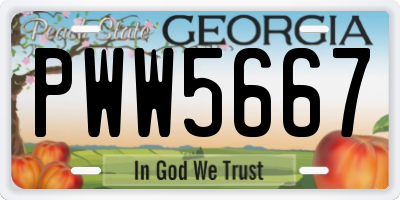 GA license plate PWW5667