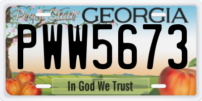 GA license plate PWW5673