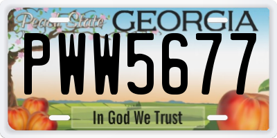 GA license plate PWW5677