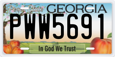 GA license plate PWW5691
