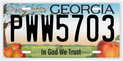 GA license plate PWW5703