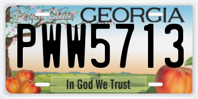 GA license plate PWW5713