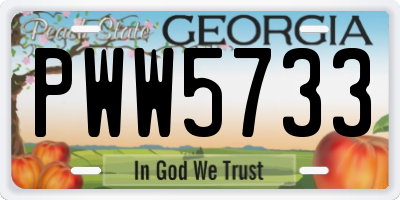 GA license plate PWW5733