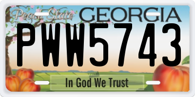 GA license plate PWW5743