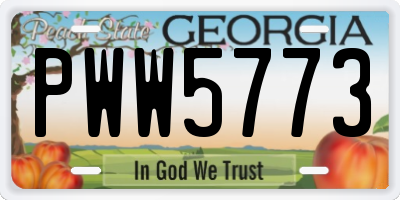 GA license plate PWW5773