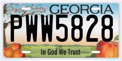 GA license plate PWW5828