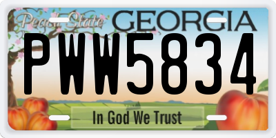 GA license plate PWW5834