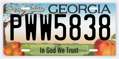 GA license plate PWW5838