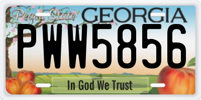 GA license plate PWW5856