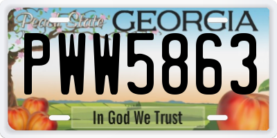 GA license plate PWW5863
