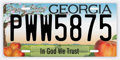 GA license plate PWW5875