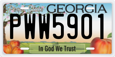 GA license plate PWW5901