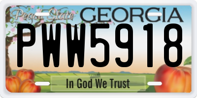 GA license plate PWW5918