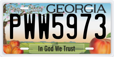 GA license plate PWW5973