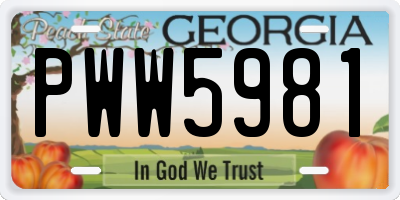 GA license plate PWW5981