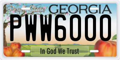 GA license plate PWW6000