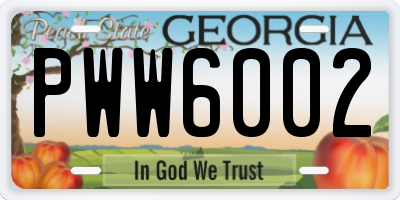 GA license plate PWW6002